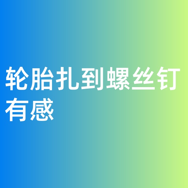 鈀碳回收，輪胎扎到螺絲釘有感