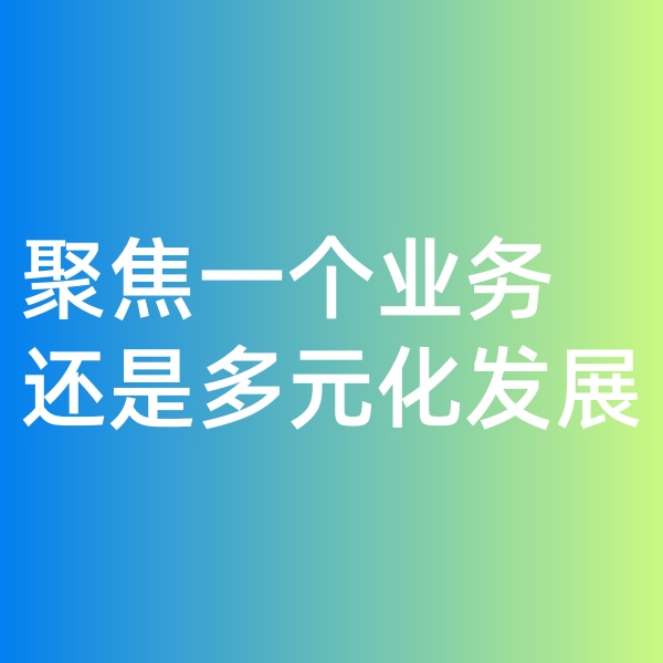 鈀碳回收, 聚焦一個業(yè)務(wù)，還是多元化發(fā)展